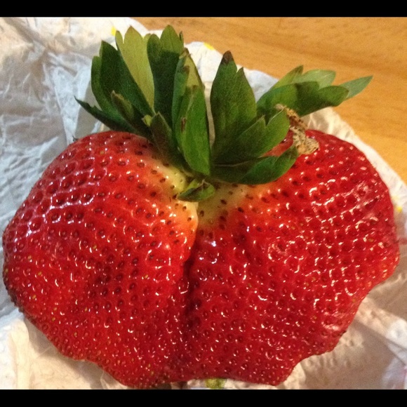 Meet your Posher, Cj - Picture 1 of 1